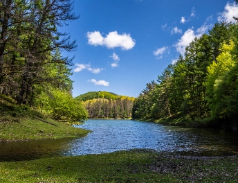 Domiko presa