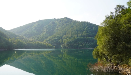 Errandonea