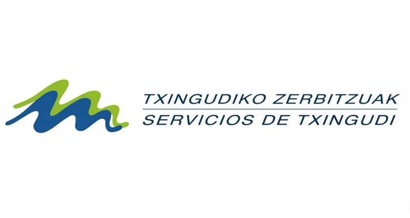 Servicios de Txingudi logoaren erabilera-normak